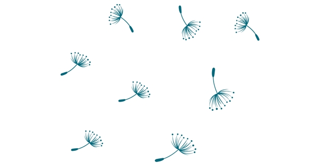 Header In Overzicht (3)